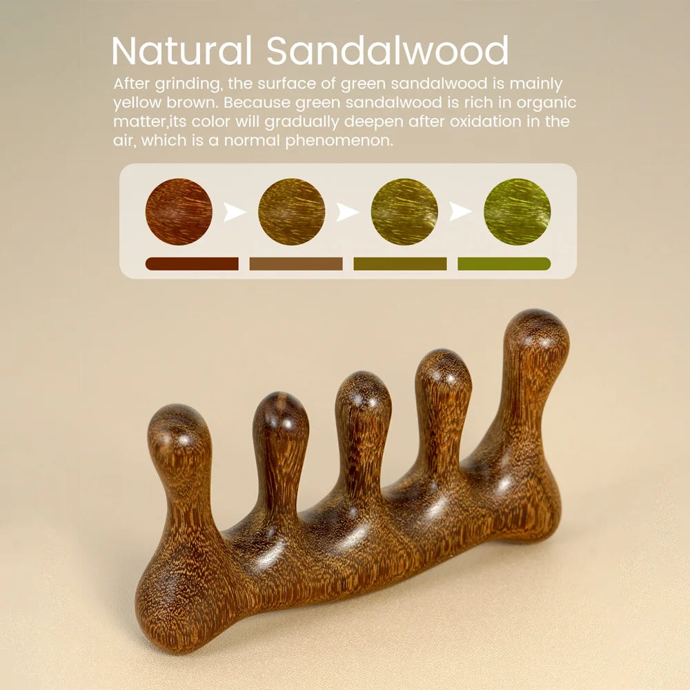 Wooden Wide Tooth Scalp Massage Comb for Hair Detangling Scalp Massage Comb Oasis Select