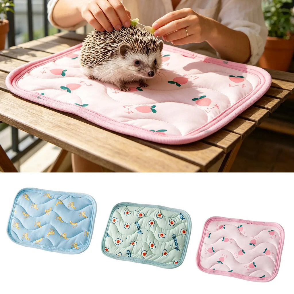 Pet Cooling Mat Summer Pet Cold Bed For Small Dogs Cat Durable Blanket Sofa Cat Ice Pad summer Blanket Pet Accessories Oasis Select
