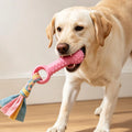 Dog Chew Toys For Cleaning Teeth Soft Rubber Bone Funny Ball Interactive Donut Treat Set For Small Medium Dogs Pet supplies Oasis Select Random color