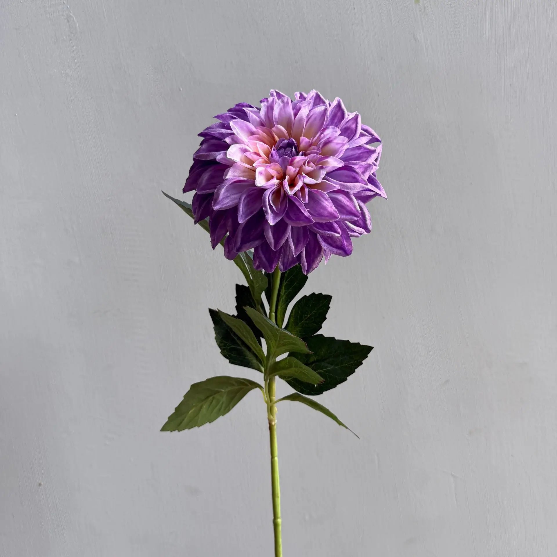 Lifelike artificial dahlia flower with 1 heads long branch silk flower for home wedding decor birthday party bedroom Decoration Oasis Select Purple