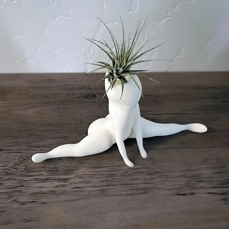 Hilarious Big Booty Ghost Planter Succulent Planter Air Plant Display Indoor Planter Decor Planter Plant Pots Funny Prank Gift Oasis Select