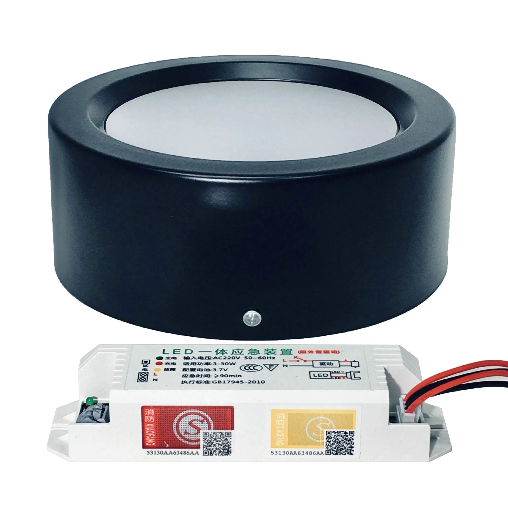 LED Emergency Light, Smart Lamp, Surface Mounted, Downlight, Lighting, Dual Surface, 5Inch, 12W Oasis Select