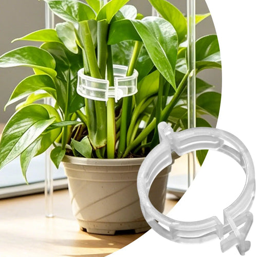 Plant Support Clips 100Pcs Plant Clips For Climbing Plants Tomato Trellis Garden Vine Strapping Bundled Buckle Clips Garden Tool Oasis Select