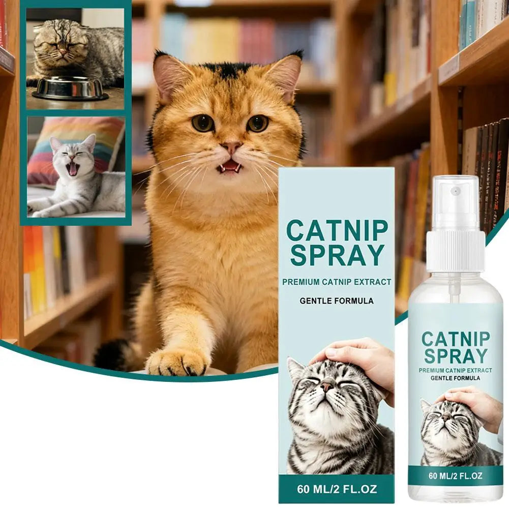 Active Catnip Spray for Cats Relieves Stress, Calming, Enhance Pet Vitality, Kitten Behaviour Spray Cats’ Fun Edible Mint Spary Oasis Select