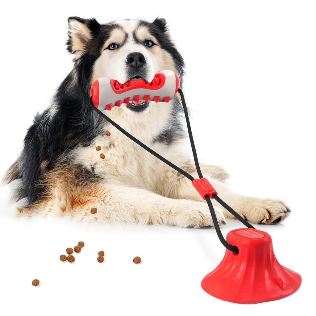 Dog Toys, Teething Sticks, Chewable Teeth Cleaning Bones, Dog Toothbrushes, Toys, Chewing Gum, Pet Supplies Oasis Select