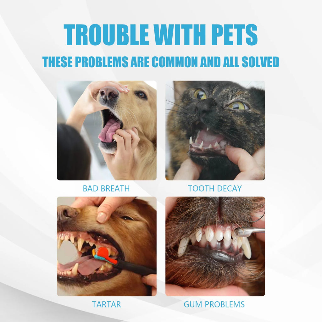 YEGBONG Pet Edible Toothpaste – Dog & Cat Oral Care 60g