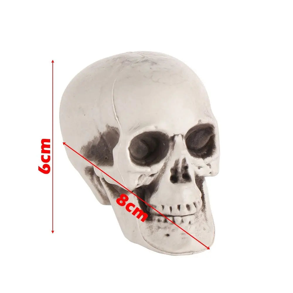 1PC All Size Party Decoration Home Decor Halloween Props Human Skeleton Skull Head Hanging Decor Oasis Select 5x6x8cm