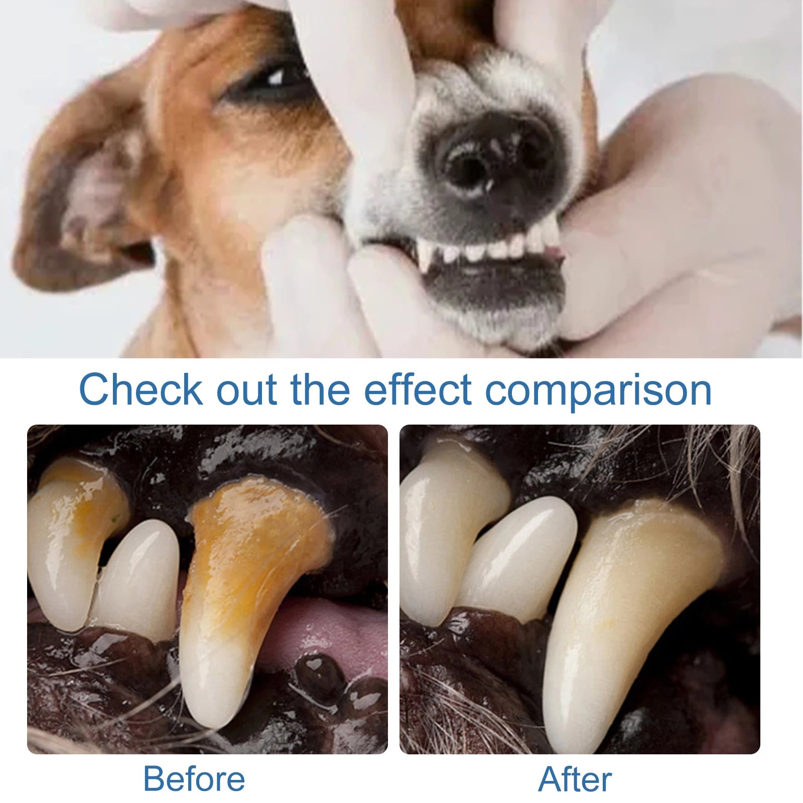 Pet Oral Tartar Remover Spray Deep Clenaing Yellow Teeth Eliminate Bad Breath Fresh Breath Whitening Teeth Pet Oral Foam Cleaner Oasis Select
