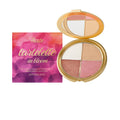 4-Color Highlight Powder Blush & Eye Shadow Palette | Natural Glow Eye Shadow Palette Oasis Select 8.8g Boxed