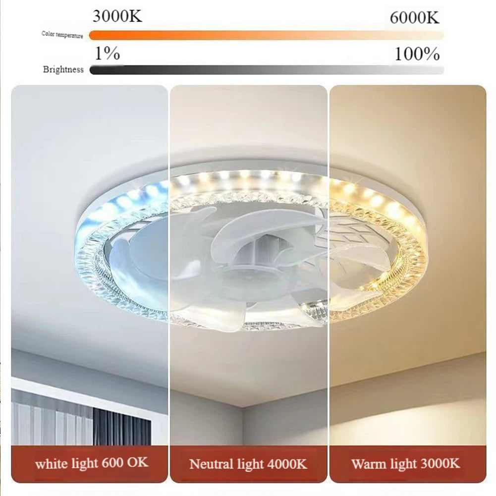 2-in-1 LED Ceiling Fan Light E26/E27 | 3-Speed Remote Control LED Ceiling Fan Light Oasis Select