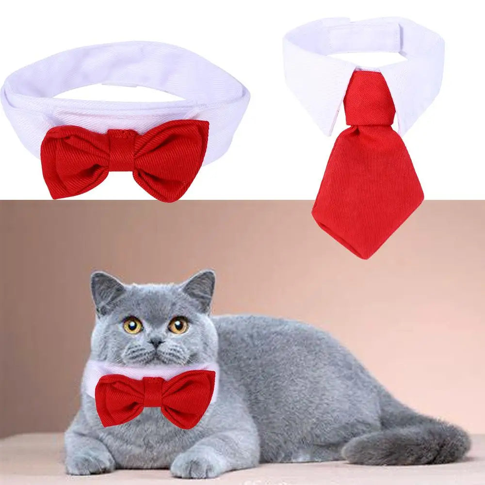 Adjustable Pet Bow Tie Collar for Small Dogs & Cats