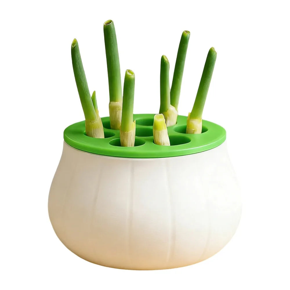 Vertical Hydroponic Green Onion Planter | 7-Hole Space-Saving Hydroponic Planter Oasis Select Green
