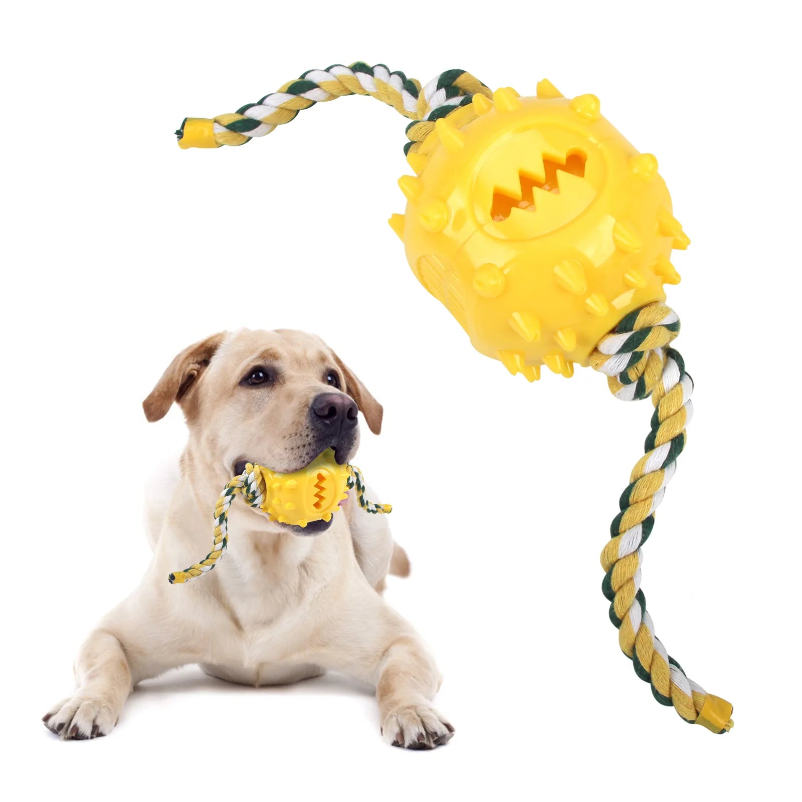 The Toy Self-fun Teething Food Leakage Ball Is Tough To Bite and The Hidden Food Pull Rope Ball Is A Dog Toy That Won't Break Oasis Select 24002-2C