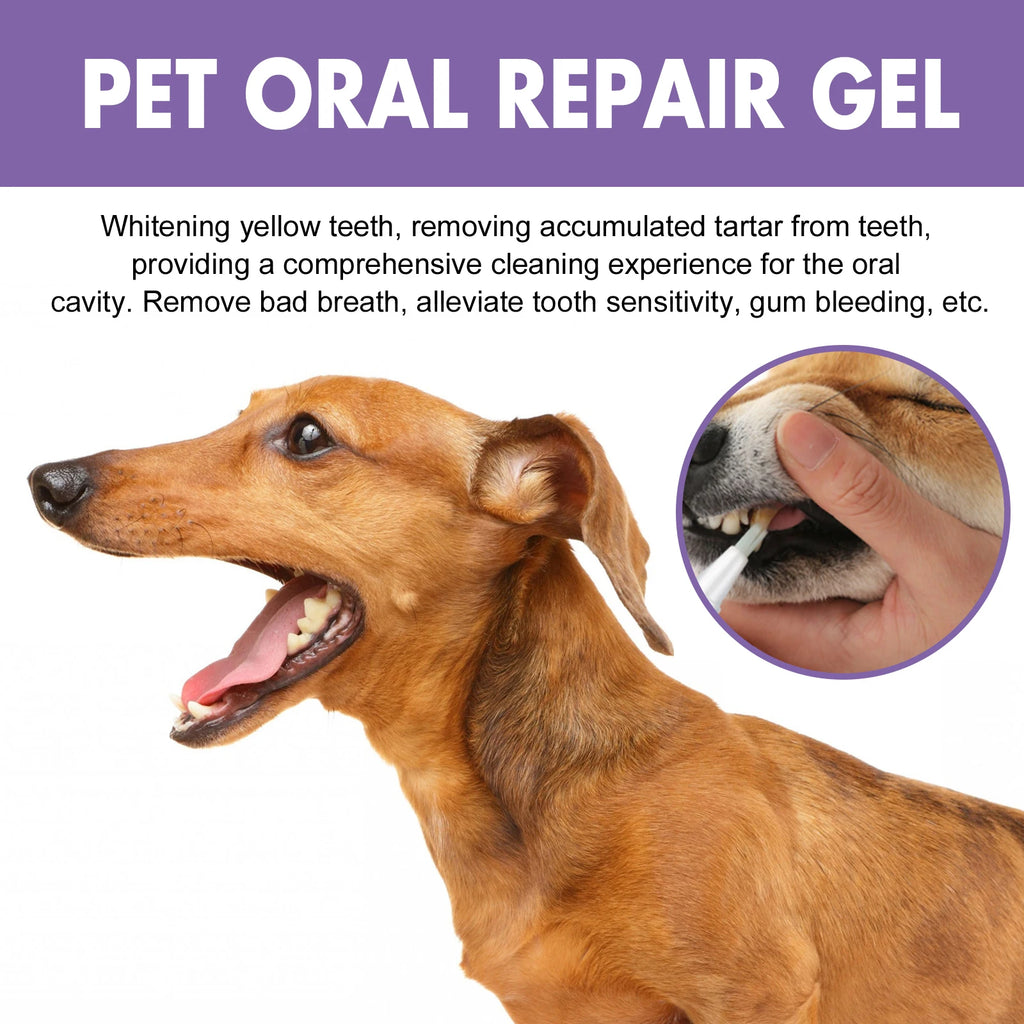Pet Oral Repair Gel Stain Cleaner Remove Dental Stains Eliminating Odors Freshens Breath Reduce Pet Yellow Teeth Cleaning Pen Oasis Select