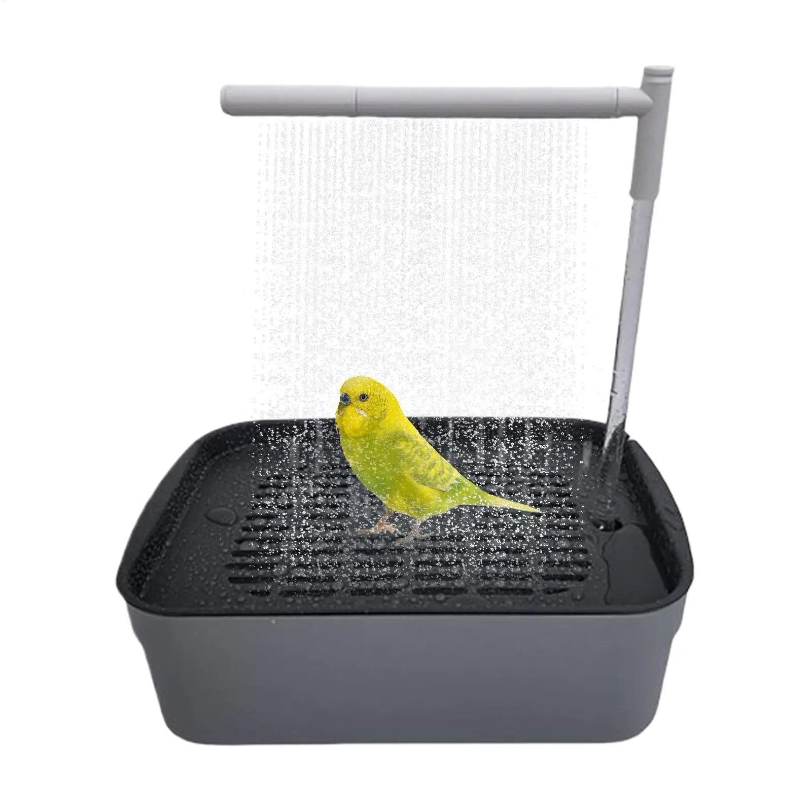 Parrot Bath Pet Bird Bath Automatic Parrot Bathtub Rechargeable Tub with Circulating Faucet Pet Supplies Bathing Accessories Oasis Select