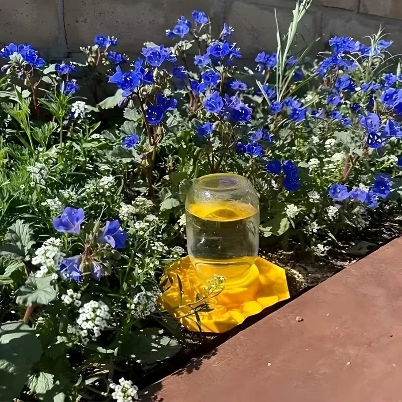 Bee Water Feeder with Perch Safe Honeybee Drinking Station Honeycomb Tray Practical Beekeeping Supplies for Garden Patio Oasis Select