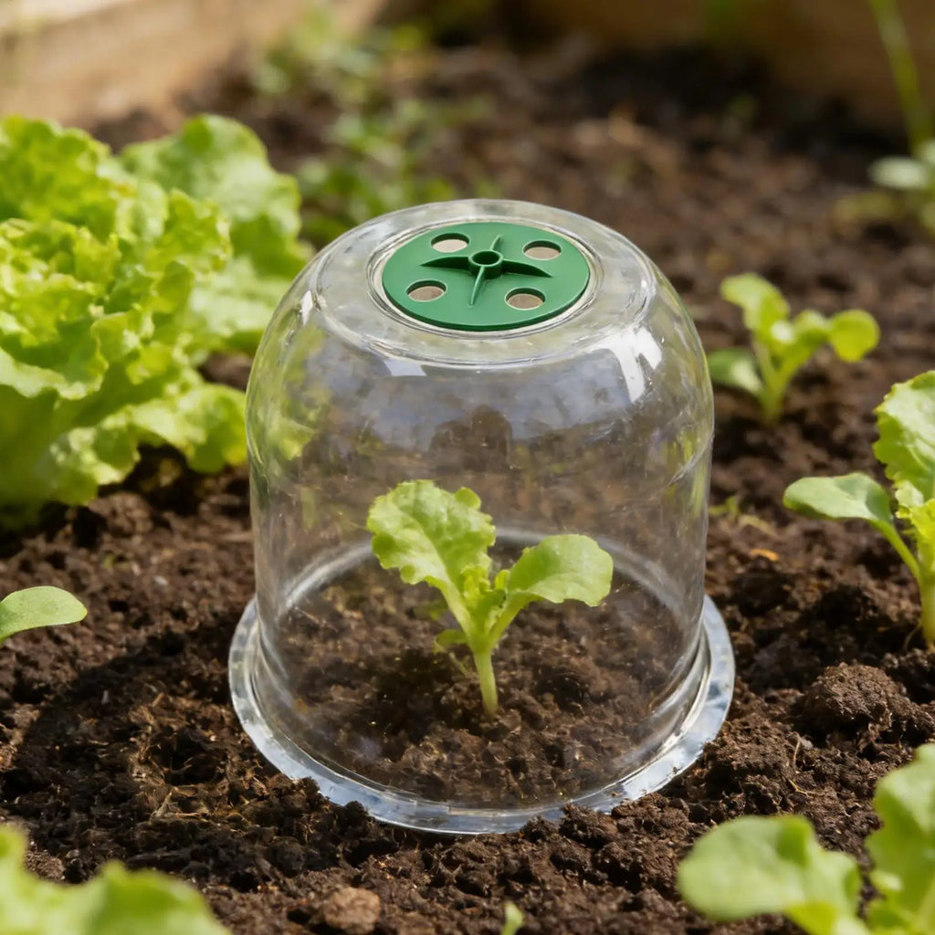 Insulated Plant Protector for Greenhouse Gardening Seedling Cover Seed Plant Bell Cover Protect Plastic Cover Flower Nursery Oasis Select