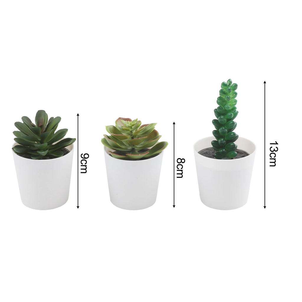 Artificial Succulent Bonsai Set of 3 – Faux Desktop Decor Artificial Succulent Set Oasis Select