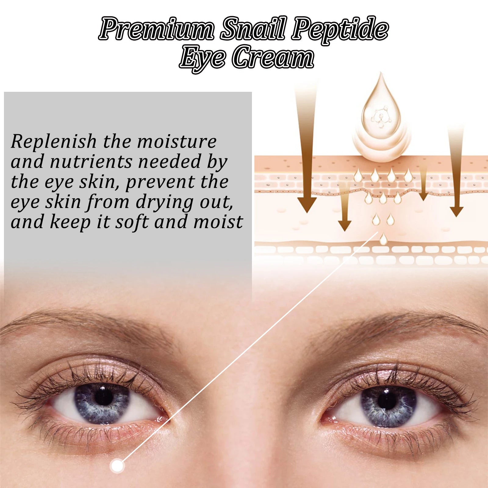 Snail Peptide Eye Cream Remove Eye Bag Anti-Puffiness Fade Dark Circle Firming Skin Roller Massage Nourishing Care Eye Cream Oasis Select