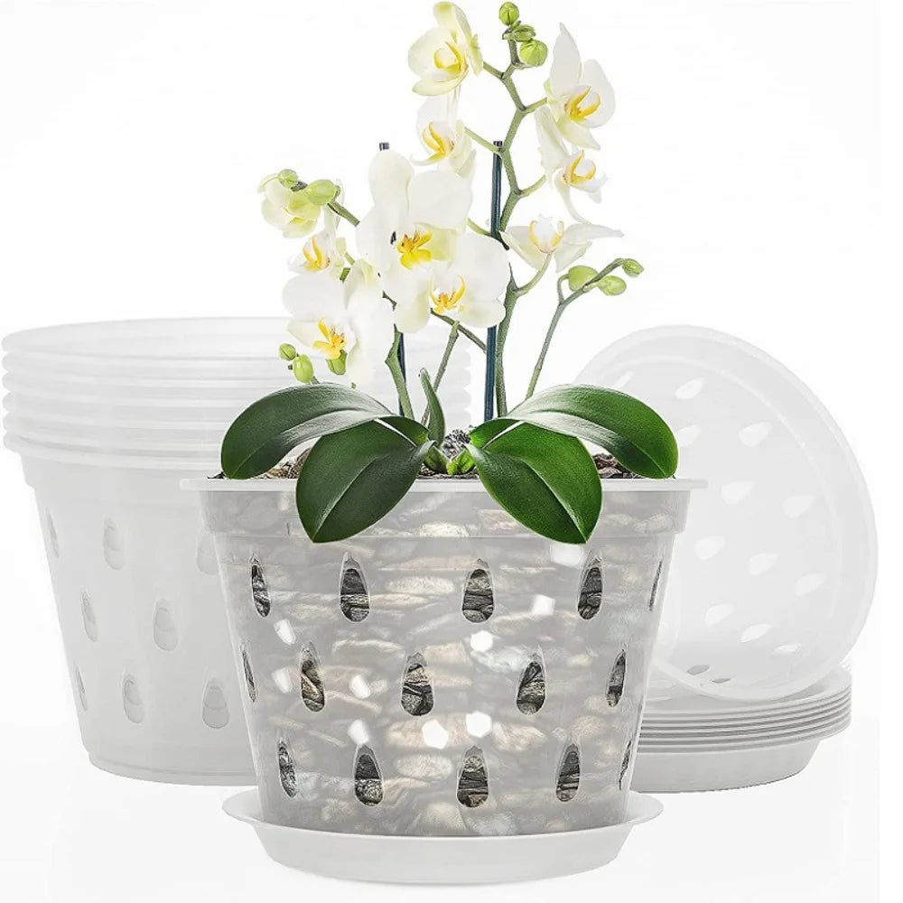 Transparent Orchid Pot with Drainage Holes & Tray | Phalaenopsis