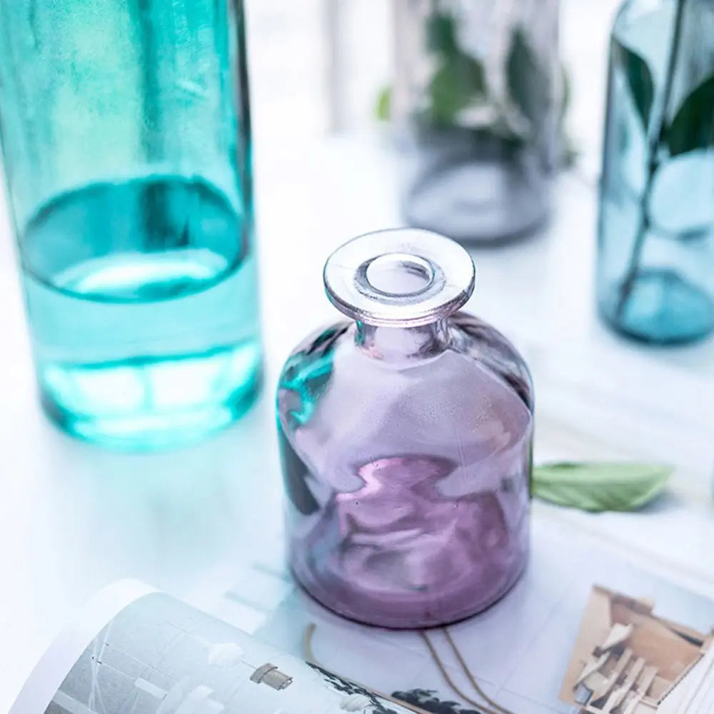 Transparent Glass Flower Vase | Modern Hydroponic Table Decor Glass Flower Vase Oasis Select