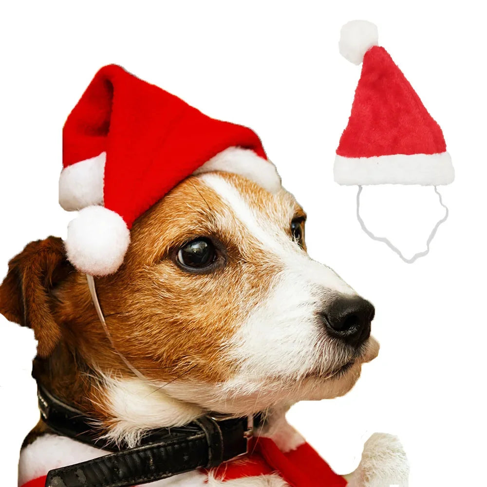 50PCS Christmas Pet Dog Cat Santa Hat Cosplay Hats Pet Costume Ornaments Christmas Party Pet Supplies Christmas Decorations Oasis Select