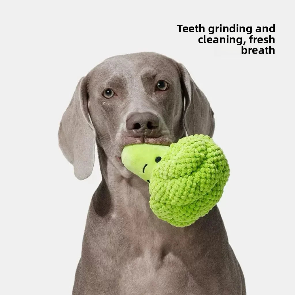 Dog Voice Toy Teeth Grinding and Cleaning Simulation Broccoli Plush Doll Small and Medium sized Dog Self Hi Soothing Tool Oasis Select