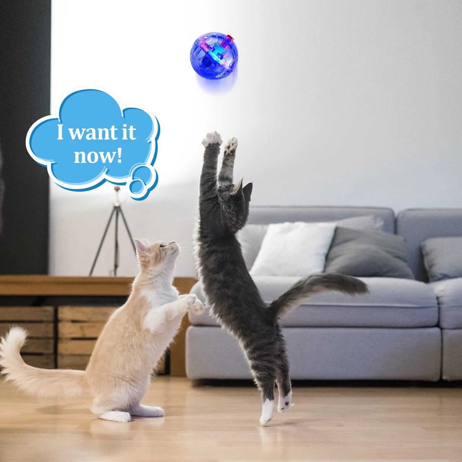 3Pcs Cat Motion Light Up Interactive Flash Ball Ghost Small Battery Powered Paranormal Equipment Portable LED Gift Pet Toys Oasis Select