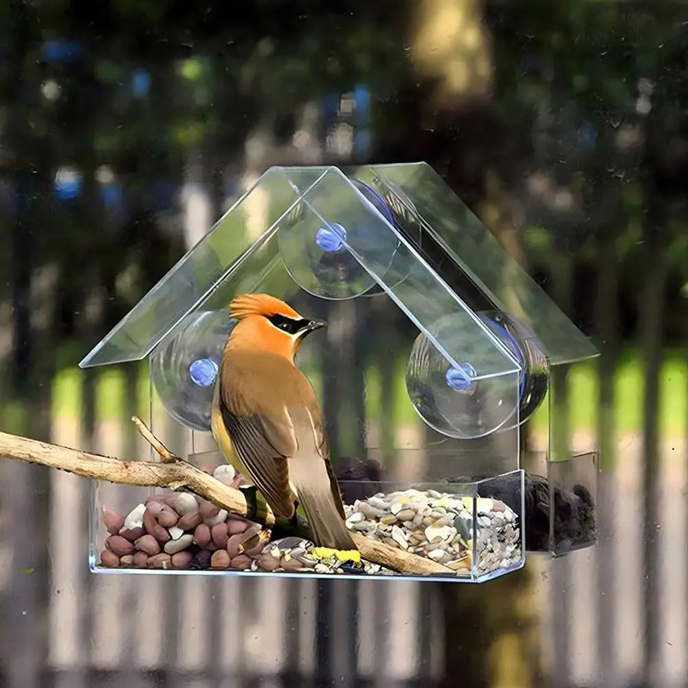 Acrylic Bird Feeder Clear Window Outside Hanging Bird Feeder House with Suction Cup for Garden Outdoor Backyard Wildlife Birding Oasis Select