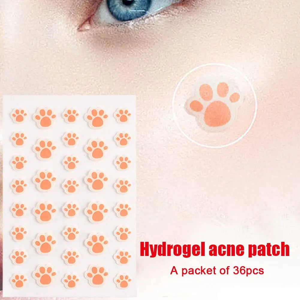 Cat Paw Hydrocolloid Acne Patches – 36 Invisible Pimple Dots Acne Pimple Patch Oasis Select