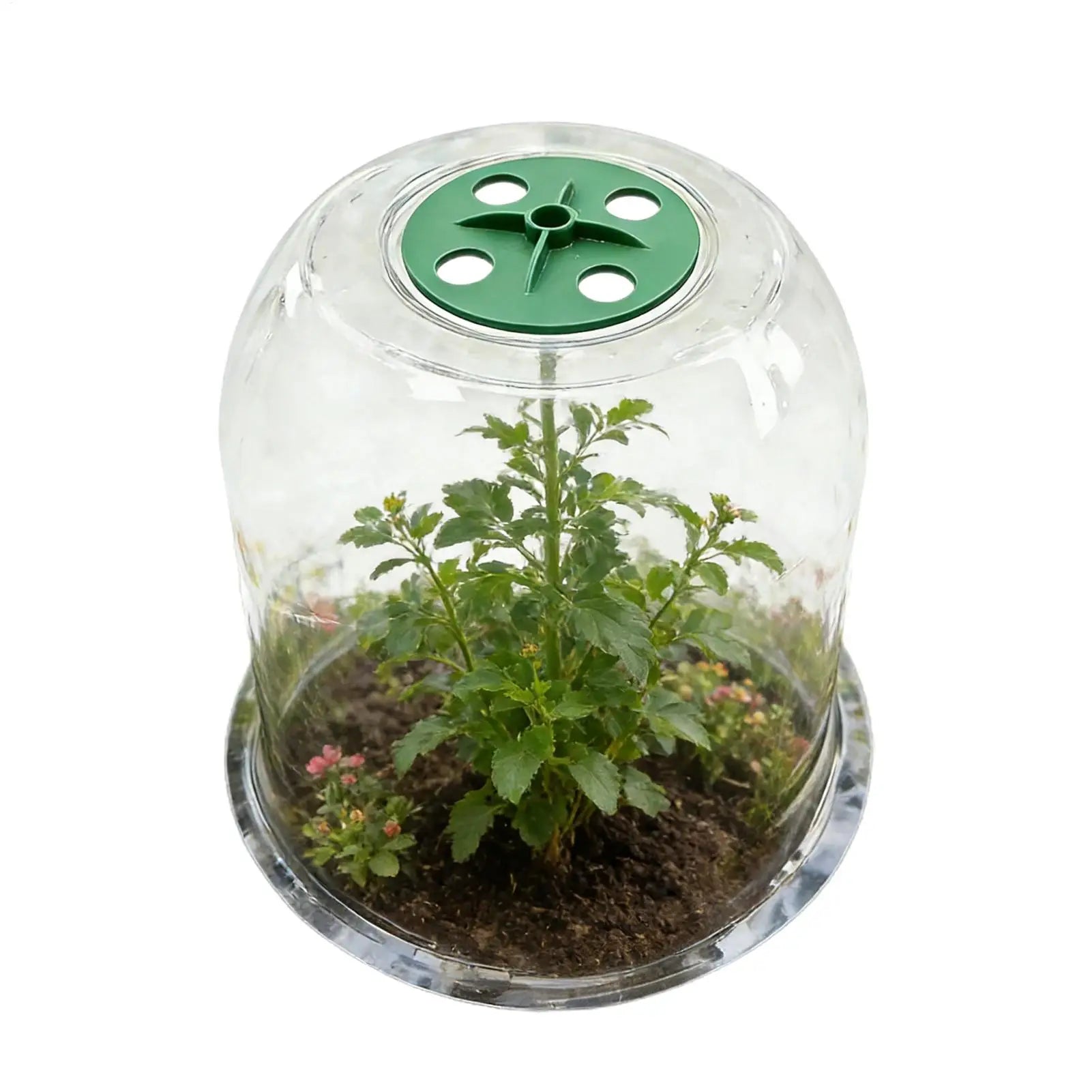 Insulated Plant Protector for Greenhouse Gardening Seedling Cover Seed Plant Bell Cover Protect Plastic Cover Flower Nursery Oasis Select