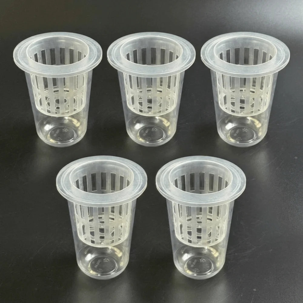 Transparent Plastic Hydroponic Mesh Cups Plant Propagation Vegetable Nursery Plant Nursery Pot Flowerpot Root View Cups Oasis Select 5 Set