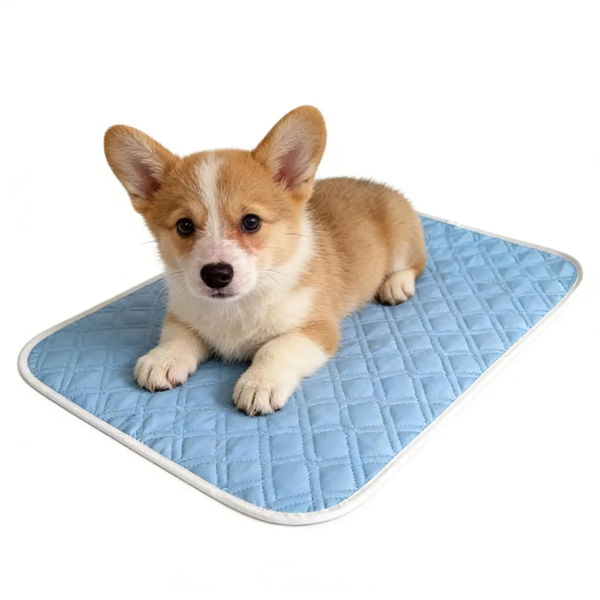 Cooling Pad for Dog Sweat Absorbent Sleeping Rug 45x35cm Soft Self Cooling Pet Mat for Small Medium Large Dog Kitten Crate Oasis Select