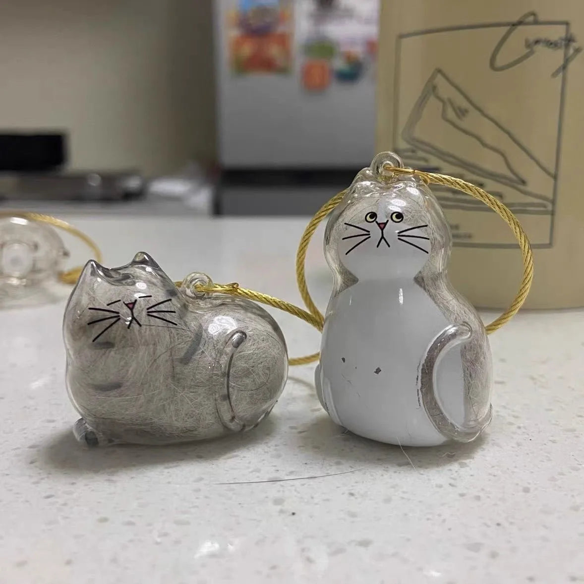 Transparent Cat and Dog Hair Storage Box, Pendant, Gashapon, Cat Hair Storage Capsule, Gashapon Bag, Keychain, Hanging Accessory Oasis Select
