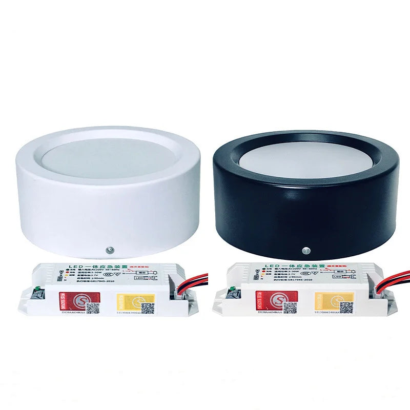LED Emergency Light, Smart Lamp, Surface Mounted, Downlight, Lighting, Dual Surface, 5Inch, 12W Oasis Select