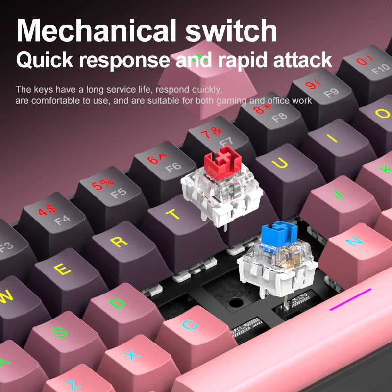 APAYADO K61 Mini Mechanical Keyboard,Wired,61 Keys,Phantom RGB, Black/White Red/Blue Mechanical Switch for Gaming,60% Portable Oasis Select