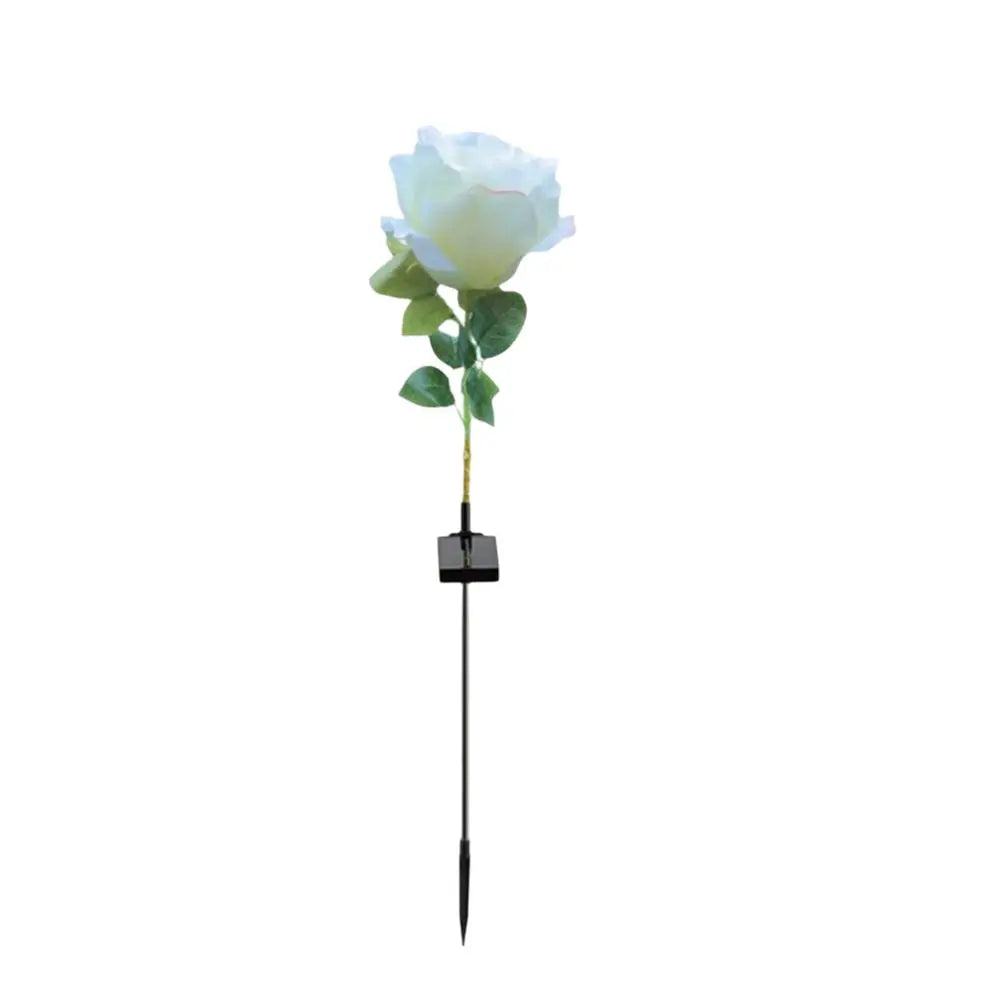 Solar Rose Garden Stake Light | 8 Modes, IP65, 80cm Tall