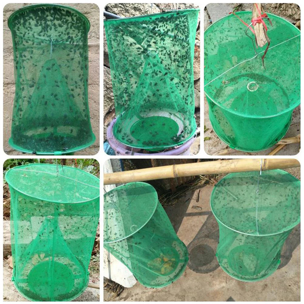 Reusable Hanging Fly Trap Cage – Chemical-Free Pest Control Insect Fly Trap Oasis Select