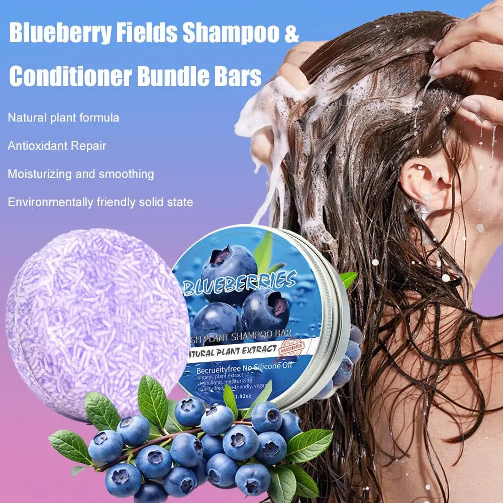 Blueberry Shampoo & Conditioner Bundle Bar for Hair Thinning Frizz, Blueberry Solid Shampoo & Conditioner Strengthen Hair Care Oasis Select