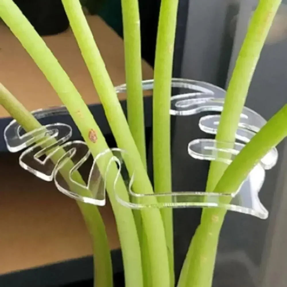 Turtle Shell Bamboo Clamp Reusable Clear Plastic Plant Stem Support Holder for Indoor and Outdoor Plants for Flower Lovers Oasis Select