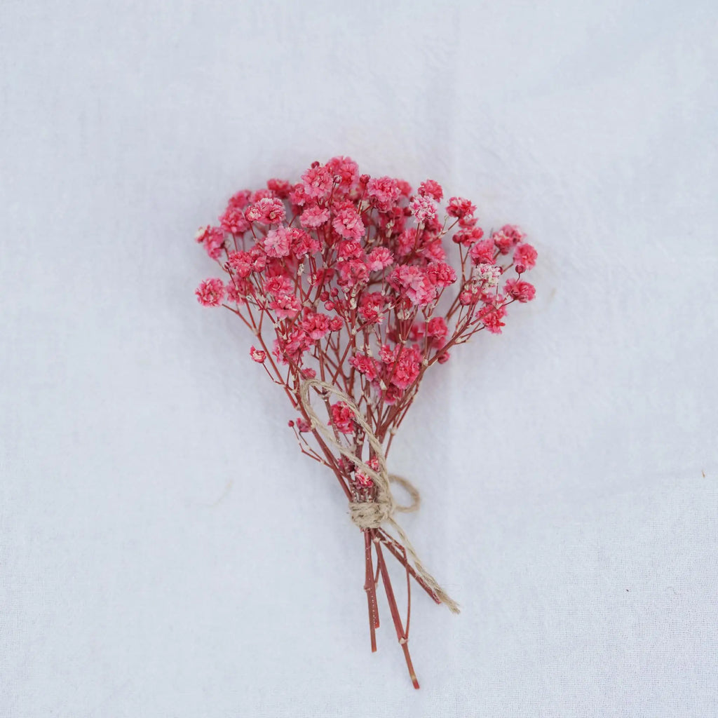 Dried Flower Bouquet High-Quality Fingertip Bouquet Greeting Card Decoration Versatile Diy Flower Kit For Diy Projects Event Oasis Select 14