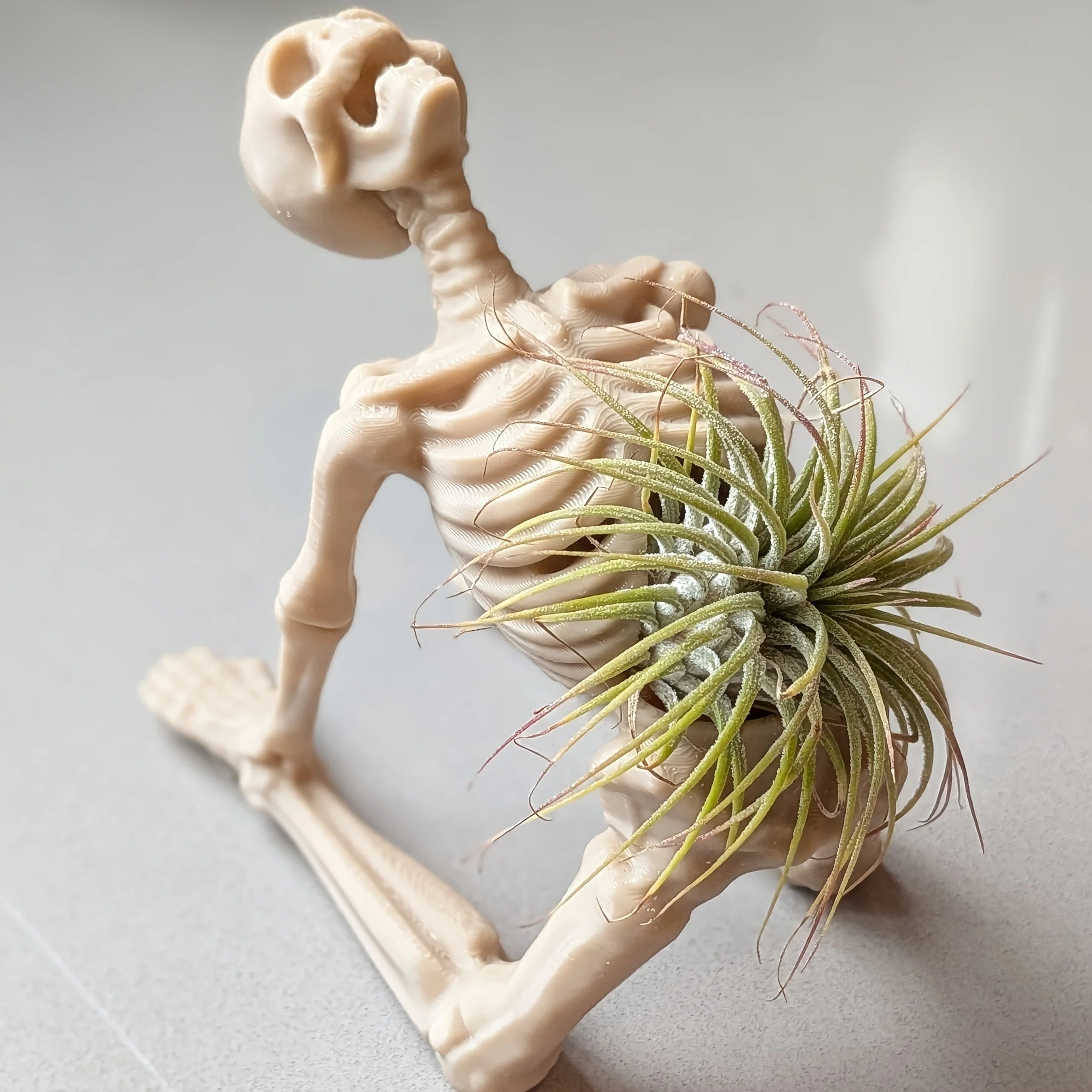 3D Printed Yoga Skeleton Plant Stand Multi-Pose Air Pineapple Holder Creative Art Desktop Ornament Plastic Pot Novelty Decor Oasis Select