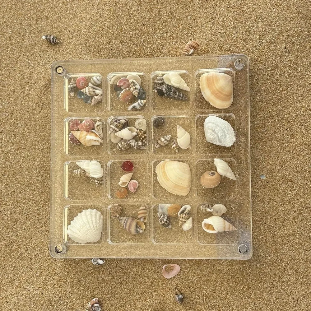 16-Grid Seashell Display Box with Magnets Acrylic Storage Display Organizer Box Durable Starfishs Trinket Storage Case Oasis Select