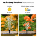 Solar Floating Fountain Pump – Garden Pond & Bird Bath, 6 Nozzles Solar Fountain Pump Oasis Select Australia