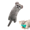 Catnip Plush Cat Toy – Cartoon Expression Crinkle Mouse