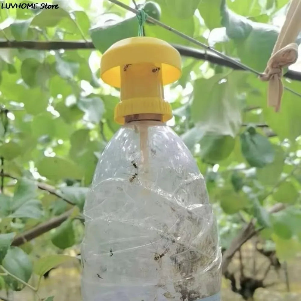 10-Pack Yellow Sticky Fruit Fly Traps | Hanging Insect Catchers Insect Sticky Trap Oasis Select