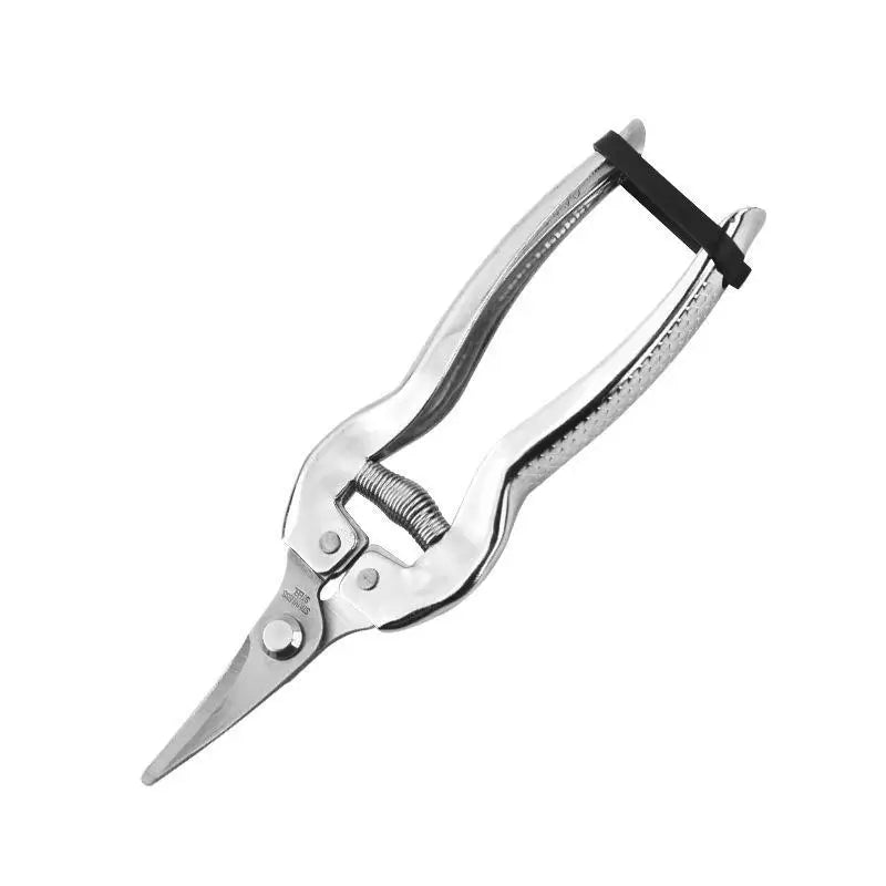Stainless Steel Pruning Shears | Sharp Blades, Non-Slip Handle