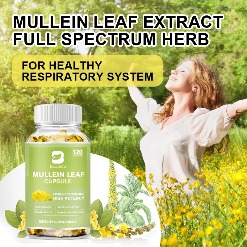 BEWORTHS Natural Mullein Leaf Capsules Support Immune and Digestive Health Lung Cleansing Relieve Asthma,Respiratory & Cough Oasis Select