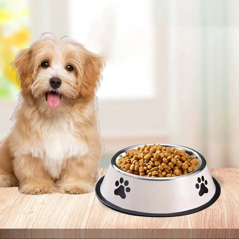 Stainless steel pet bowl cat bowl dog food bowl multiple specifications anti-fall food bowl large capacity feeding pet supplies Oasis Select