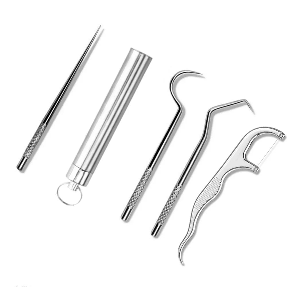 7pcs/set Reusable Stainless Steel Toothpick Set with Toothpick Holder Keychain Design Tartar Removal Tool Oral Clean Oasis Select